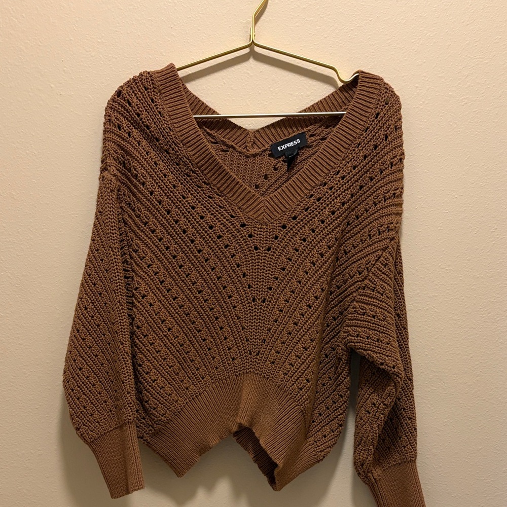 Express Women's V-Neck Brown Sweater